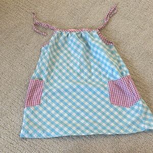 Blue and Pink Gingham Dress